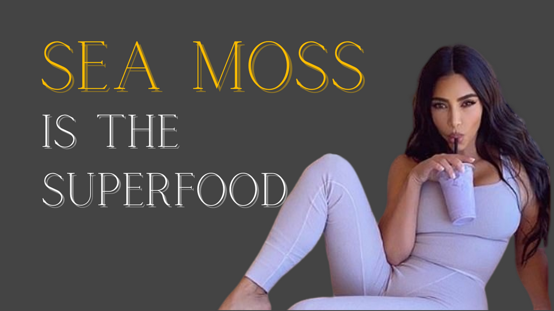 Top 5 Ways Sea Moss Helps To Boost Energy Naturally - Hip 2 Health
